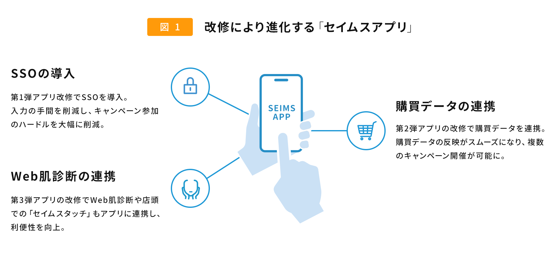 富士薬品 フロー図